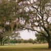 A view from Carrollwood Country Club