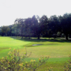 A view of green #10 at Temple Terrace Golf & Country Club