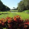 A sunny day view of a tee at Deering Bay Yacht & Country Club