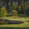 A view of green #12 at Isleworth Country Club