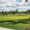 A view of a green at Naples Beach Hotel & Golf Club