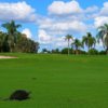 A view of a special guest looking at a green at Bonaventure Golf Club