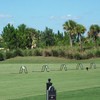 A view of the driving range at River Strand Golf and Country Club
