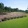 A view from tee #5 at St. James Bay Golf Club.