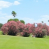 A view from Airco Golf Course