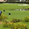 A view of the 6th green at Cheval Golf and Athletic Club