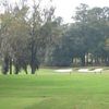 A view from Ocala National at Golden Hills