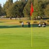 A view of green at Babe Zaharias Golf Course