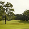 A view from Palmetto-Pine Country Club