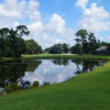 View from the 4th tee at White Heron Golf Club