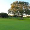 A view from Live Oak RV Golf Course.