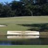 A view of a green at A. C. Read Golf Course.