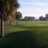 A view from a tee at Palms from Rotonda Golf & Country Club (George Padrenoss).