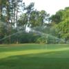 A view of a green at Travelers Rest RV Resort & Golf Course.