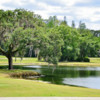 A view from The Claw at University of South Florida Golf Course