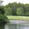 View of a green from Championship at Seven Springs Country Club