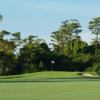 A view of a green at Boca Woods Country Club.