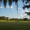 A view of a fairway at Frenchman's Creek Beach & Country Club.
