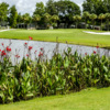 View of the 2nd hole at Crane Lakes Golf & Country Club