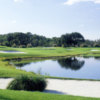 A view over the water from Bloomingdale Golfers Club.