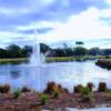 A view from Heron Creek Golf and Country Club.