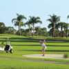 A sunny day view from Club Med Sandpiper Bay.