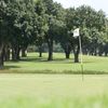 A view of green #7 at Grande Oaks Golf Club