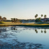 A view of hole #17 at Champion Course from PGA National Resort & Spa.