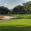 A view from tee #2 at Palm Harbor Golf Club.