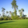 A view of green from Marion Oaks Country Club