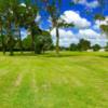 A view from Zephyrhills City Golf Course