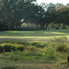 View from the 18th hole at Tarpon Woods Golf Club