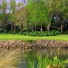 A view over the water of green at Avila Golf & Country Club
