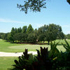 A view from Dunedin Golf Club