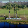 A view from The Groves Golf and Country Club