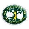 Halifax Plantation - Semi-Private Logo