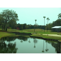 The par-3 13th has been the site of several aces during the Players Championship at the TPC Sawgrass Players Stadium Course.