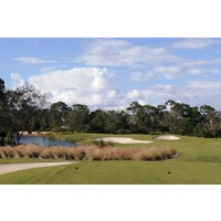 The par-3 fourth at Floridian Yacht & Golf Club has water, ornamental grass, sand and plenty of difficulty.