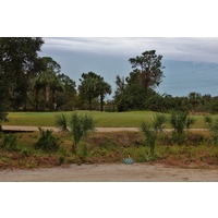 The scrub and sand protects the ninth green at the Preserve Golf Club at Tara in Bradenton.