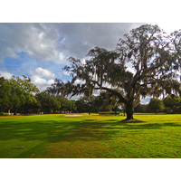 Spanish Moss-covered trees, good turf conditions and a walk in the park are the attributes of historic Winter Park C.C.