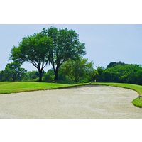 A large bunker guards the pin on the 431-yard, par-4 finishing hole at Tatum Ridge Golf Links in Sarasota, Fla.