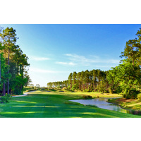 The 14th is an example of the picturesque par 3s at The Golf Club at North Hampton in Fernandina Beach, Florida.